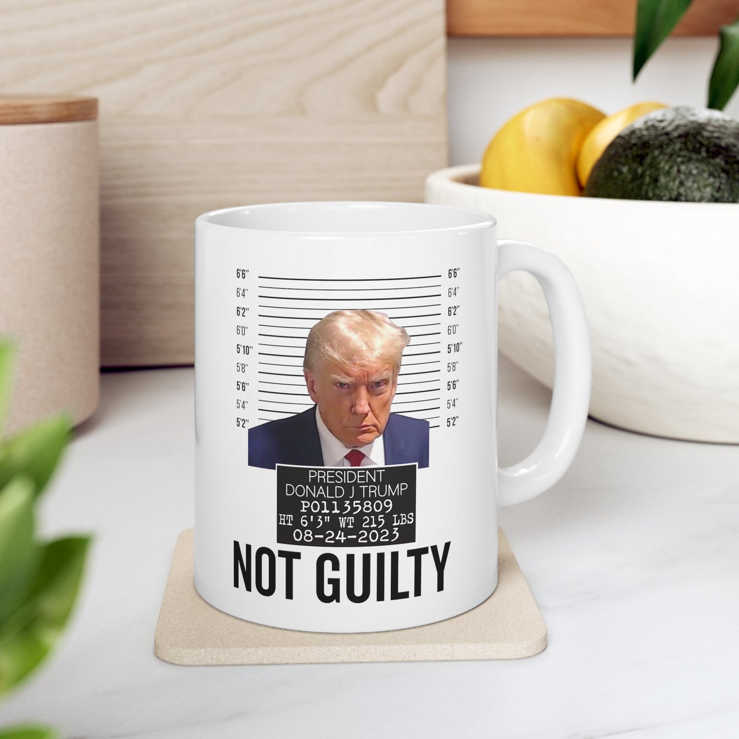 The Georgia Trump Mugshot Picture Mug Ceramic Mug 11oz - Funny Gift Trump Booking Photo Georgia Trump Mugshot Mug Pro Trump Not Guilty Mug