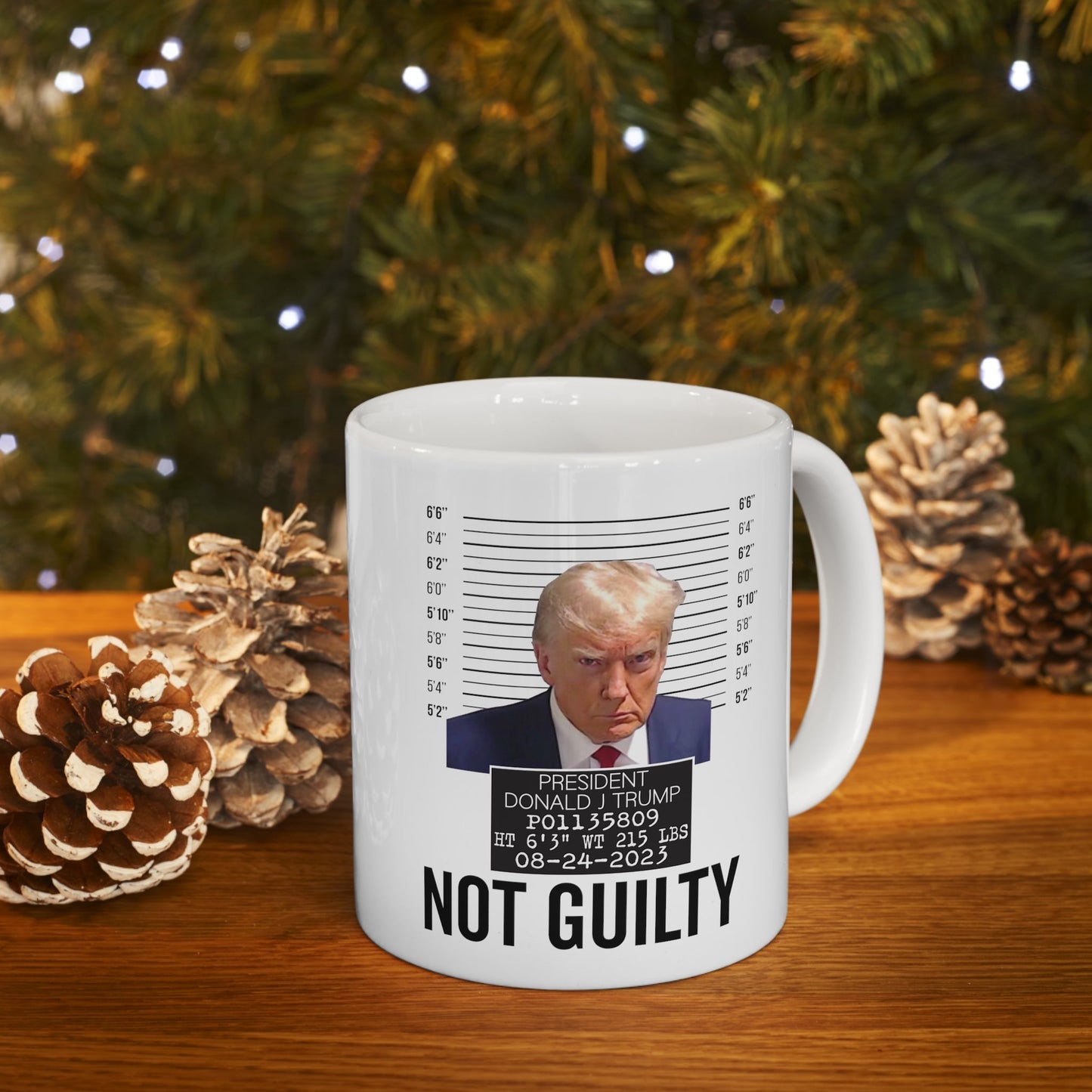 The Georgia Trump Mugshot Picture Mug Ceramic Mug 11oz - Funny Gift Trump Booking Photo Georgia Trump Mugshot Mug Pro Trump Not Guilty Mug